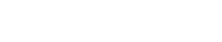 Danek Bergmann logo